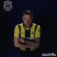 Milan Skriniar GIF by Socinflu