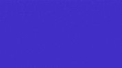 Crypto Invest GIF by ProBit Global