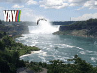 Video-Foto-Elektronik 1000-5000-Eur GIF by FranchiseONE.de