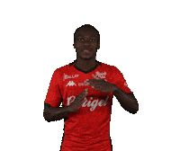Ligue 2 Football Sticker by EA Guingamp