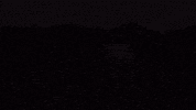Dragon Boat Festival GIF