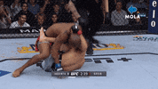 Fight Yes GIF by MolaTV