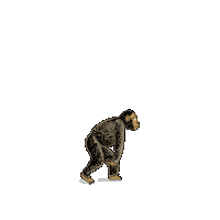 kmoteam finance suit belgium evolution Sticker