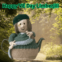 Lest We Forget Victory GIF by TeaCosyFolk