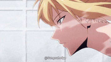 Cha Solo Leveling GIF