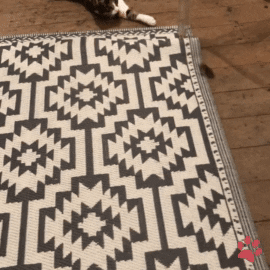 Cat And Mouse Suki GIF by pawsr