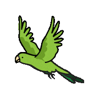 Mata Atlantica Verde Sticker by Parque das Aves