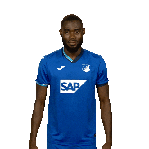 No Idea What Sticker by Bundesliga