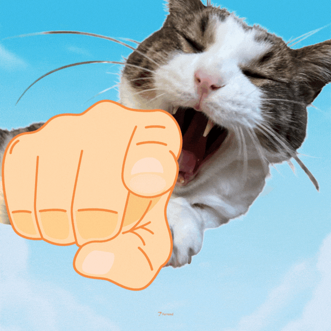 Funny Cat GIF by Furrend