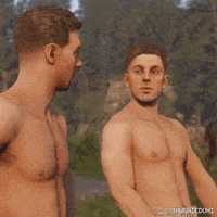 Kingdom Come Deliverance Bro GIF