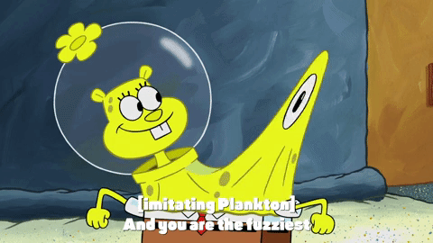 season 10 episode 3 GIF by SpongeBob SquarePants