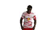 Football Smile Sticker by RB Leipzig