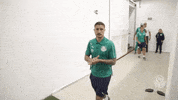 hang loose ze rafael GIF by SE Palmeiras