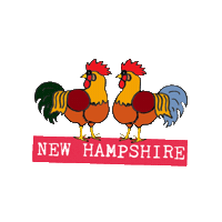Newhampshire Sticker