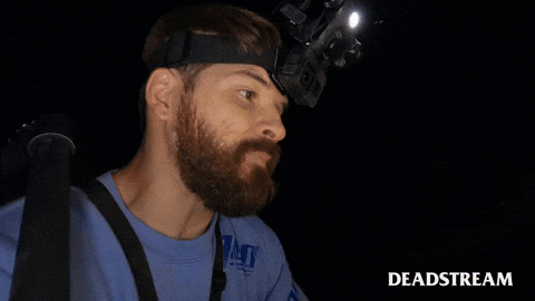 Bedtime Please GIF by Deadstream