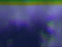 Footage Oaf GIF by jorgemariozuleta