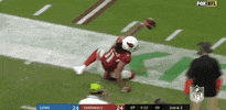 Regular Season Football GIF by NFL