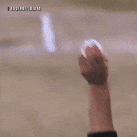 Brisbane Heat Eagle GIF