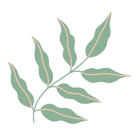 Leaf Leaves Sticker