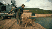 GIF by Discovery Europe