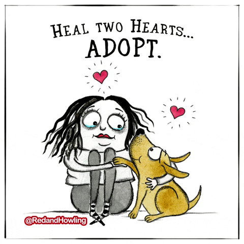 Animal Rescue Love GIF by Red and Howling