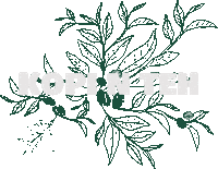 Knti Sticker by Kopi N Teh