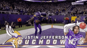 Minnesota Vikings Football GIF by NFL