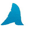 Shark Week College Sticker by Texas A&M University-Corpus Christi