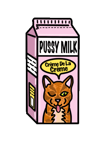 fourfaced cat kitty kitten lesbian Sticker