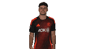 Fortuna Duesseldorf Hello Sticker by Bundesliga