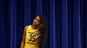 fever basketball GIF by Indiana Fever