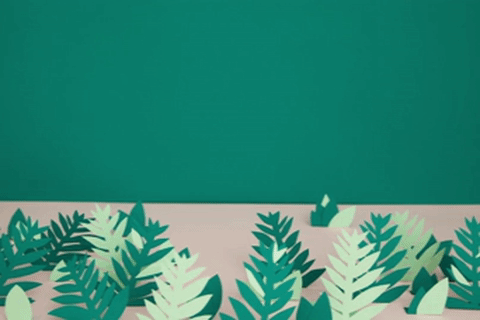 GIF by Les canailles