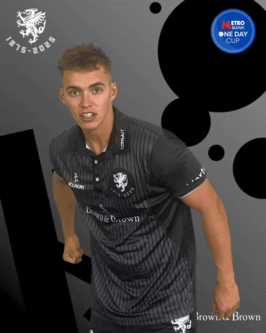 Celebrate Josh Thomas GIF by Somerset County Cricket Club