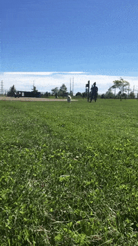 dog run GIF by KeepUpWithJaz