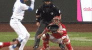 야구 GIF