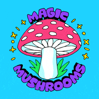 Digital art gif. Cartoon pink and white mushroom spins around before transforming into a circle with a strike through it superimposed over a menacing gray mushroom cloud, all against a sky blue background. Text, "Magic mushrooms, not mushroom clouds."