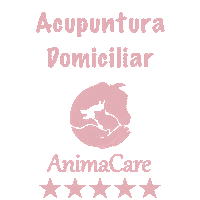 Acupuntura Sticker by AnimaCare