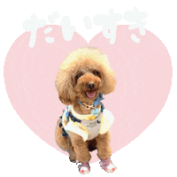 Fuuta Sticker