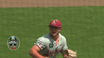 College Baseball GIF by NCAA Championships