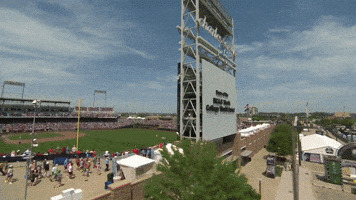 College Baseball GIF by NCAA Championships