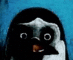 Shocked Thousand Yard Stare GIF
