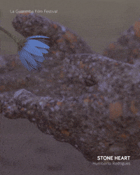 STONE HEART