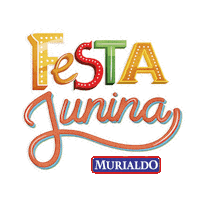 Festa Junina Sticker by Rede de Ensino Murialdo