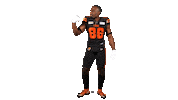 British Columbia Football Sticker by BC Lions