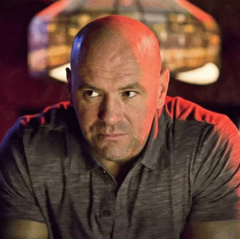 Press Conference Ufc GIF