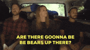 Bears Camping GIF by IFHT Films