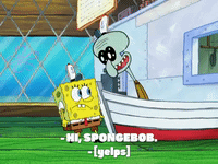 season 8 GIF by SpongeBob SquarePants
