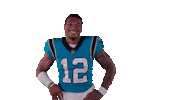 National Football League Nfl Sticker by Carolina Panthers