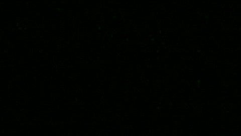 Hacking Enter The Matrix GIF