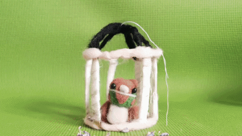 maylisg-kdan giphygifmaker GIF